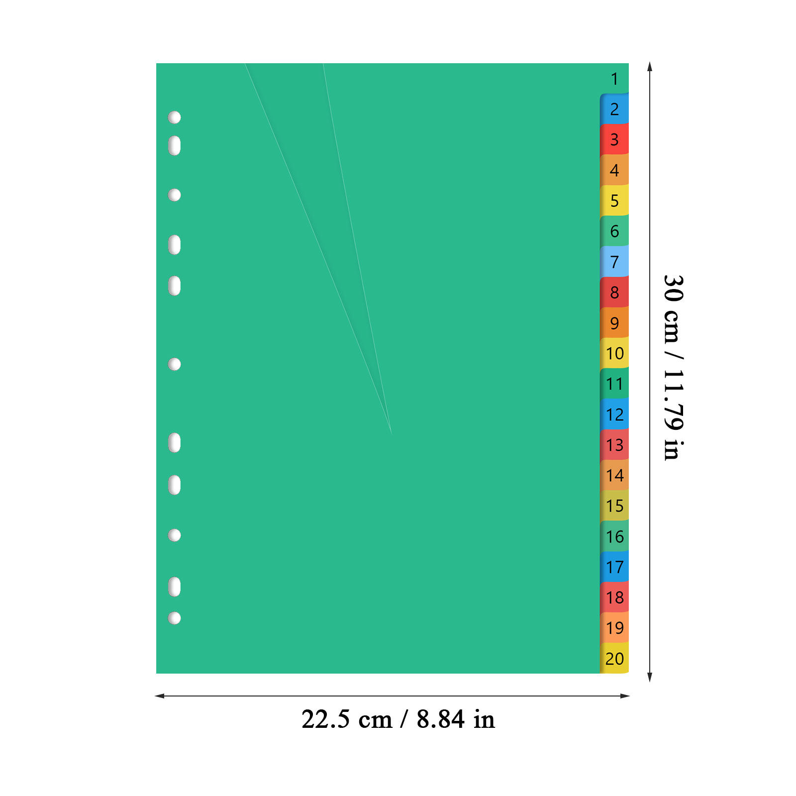 20 Divisórias Plásticas Colori - Tab Divider A4 avaliação e preço